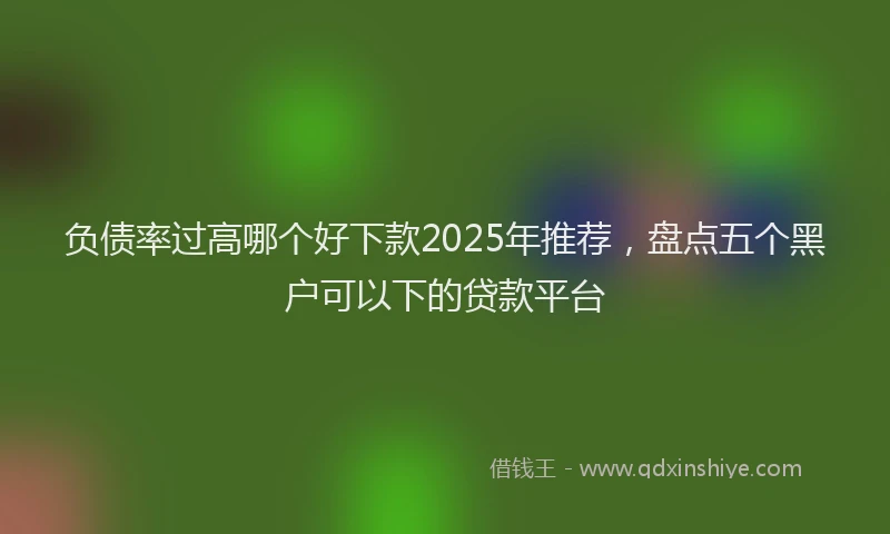 负债率过高哪个好下款2025年推荐，盘点五个黑户可以下的贷款平台