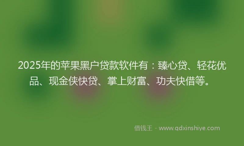 2025年的苹果黑户贷款软件有：臻心贷、轻花优品、现金侠快贷、掌上财富、功夫快借等。