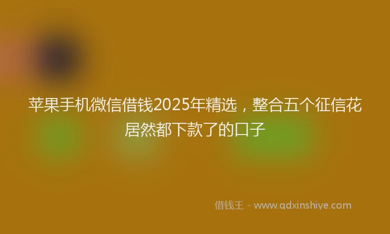 苹果手机微信借钱2025年精选，整合五个征信花居然都下款了的口子