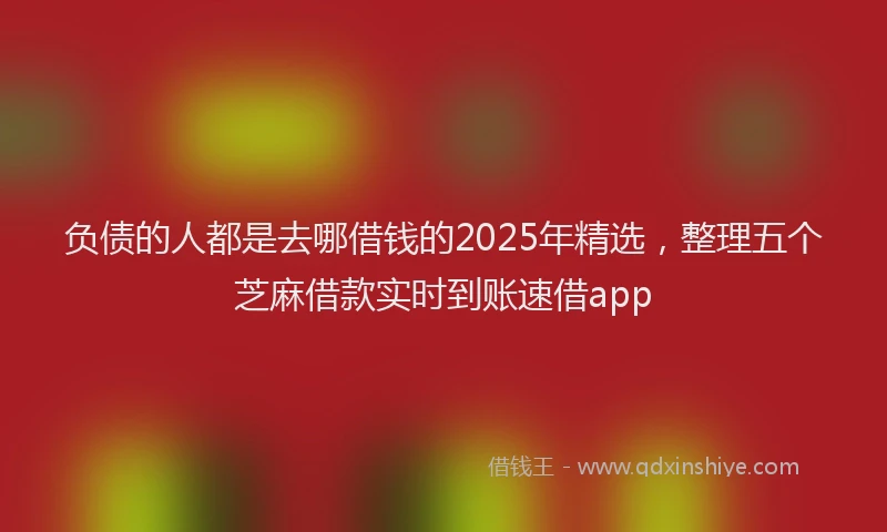 负债的人都是去哪借钱的2025年精选，整理五个芝麻借款实时到账速借app