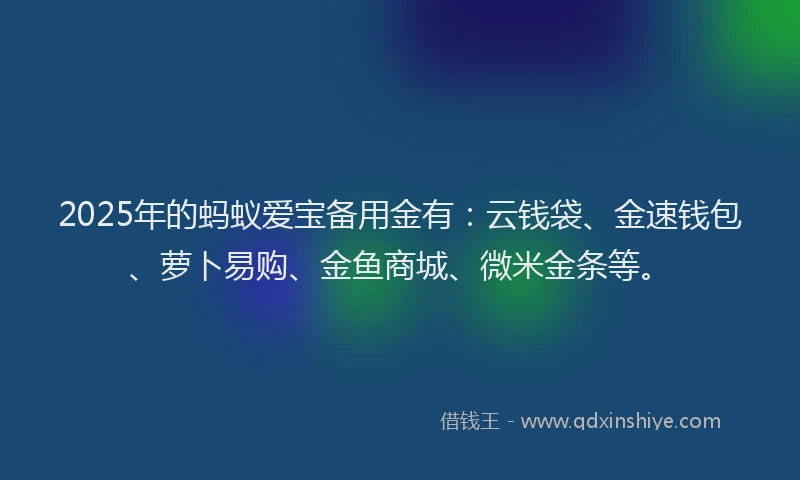 2025年的蚂蚁爱宝备用金有：云钱袋、金速钱包、萝卜易购、金鱼商城、微米金条等。