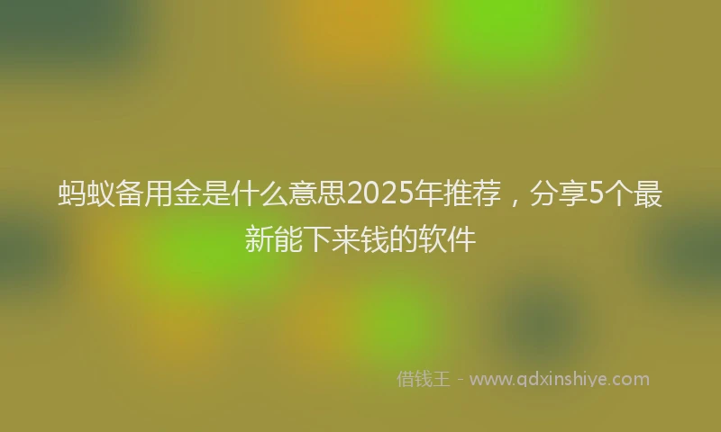 蚂蚁备用金是什么意思2025年推荐，分享5个最新能下来钱的软件