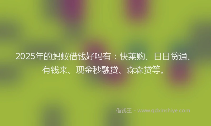 2025年的蚂蚁借钱好吗有：快莱购、日日贷通、有钱来、现金秒融贷、森森贷等。