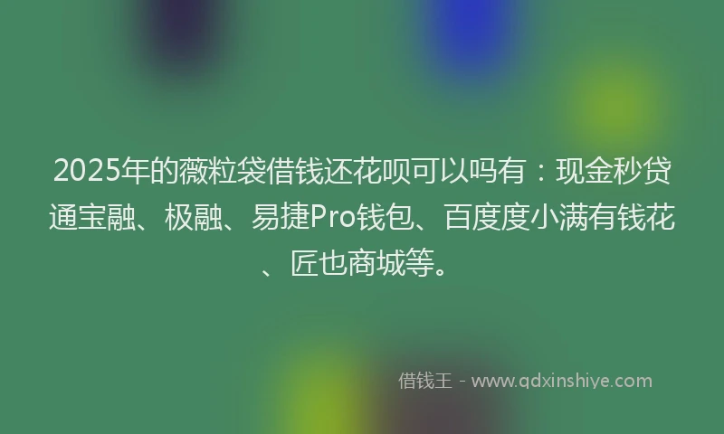 2025年的薇粒袋借钱还花呗可以吗有：现金秒贷通宝融、极融、易捷Pro钱包、百度度小满有钱花、匠也商城等。