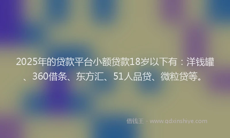 2025年的贷款平台小额贷款18岁以下有：洋钱罐、360借条、东方汇、51人品贷、微粒贷等。