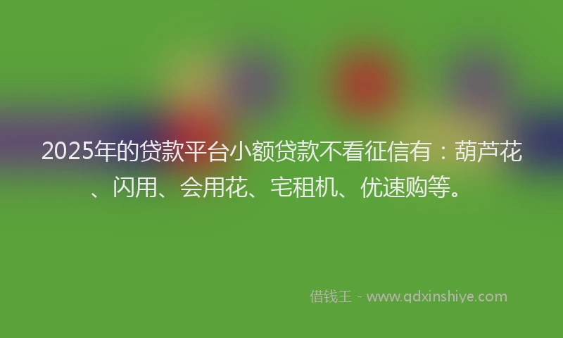 2025年的贷款平台小额贷款不看征信有：葫芦花、闪用、会用花、宅租机、优速购等。