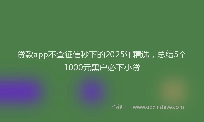 贷款app不查征信秒下的2025年精选，总结5个1000元黑户必下小贷
