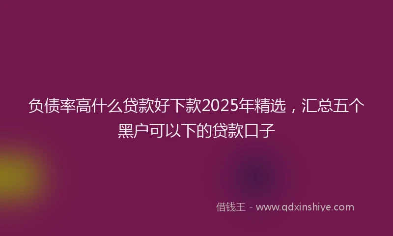 负债率高什么贷款好下款2025年精选，汇总五个黑户可以下的贷款口子
