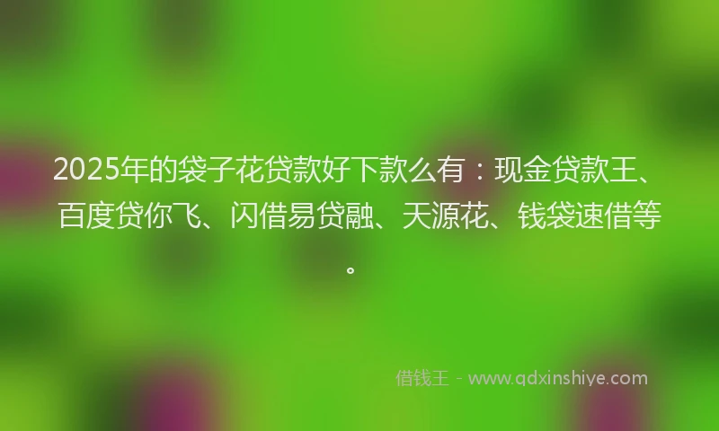 2025年的袋子花贷款好下款么有：现金贷款王、百度贷你飞、闪借易贷融、天源花、钱袋速借等。
