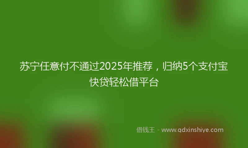 苏宁任意付不通过2025年推荐，归纳5个支付宝快贷轻松借平台