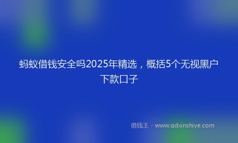 蚂蚁借钱安全吗2025年精选，概括5个无视黑户下款口子
