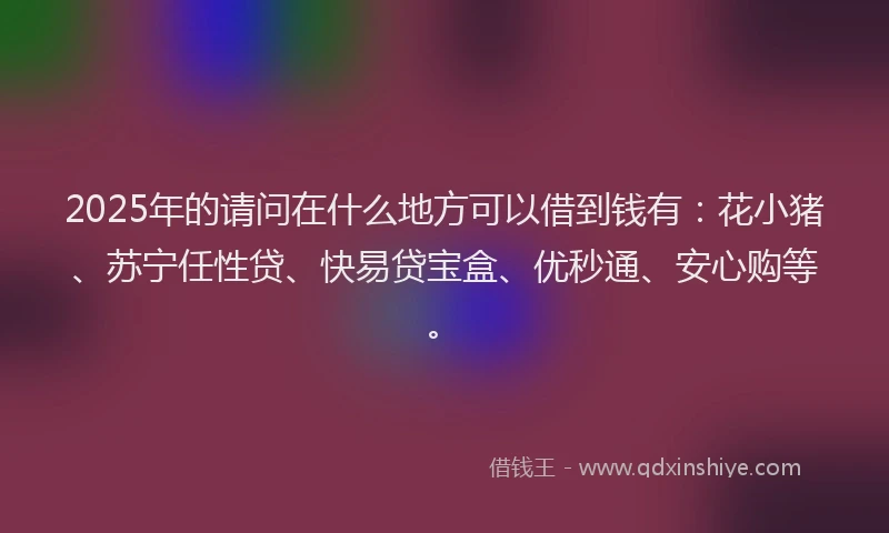2025年的请问在什么地方可以借到钱有：花小猪、苏宁任性贷、快易贷宝盒、优秒通、安心购等。