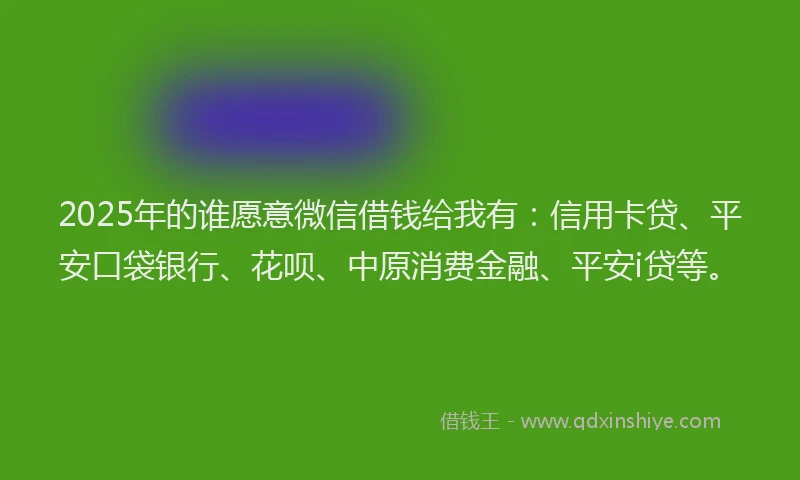 2025年的谁愿意微信借钱给我有：信用卡贷、平安口袋银行、花呗、中原消费金融、平安i贷等。