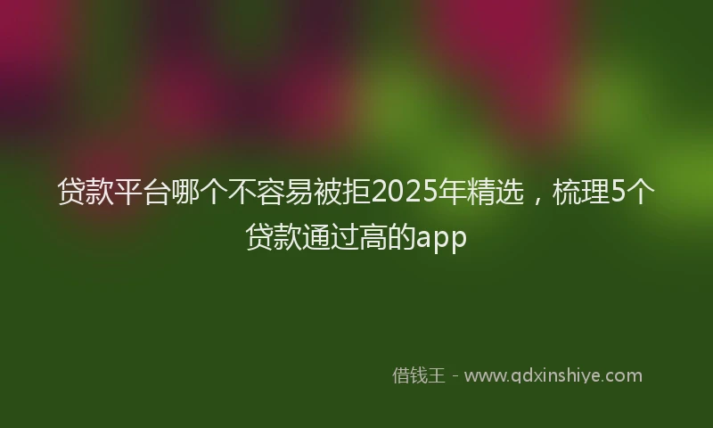 贷款平台哪个不容易被拒2025年精选，梳理5个贷款通过高的app