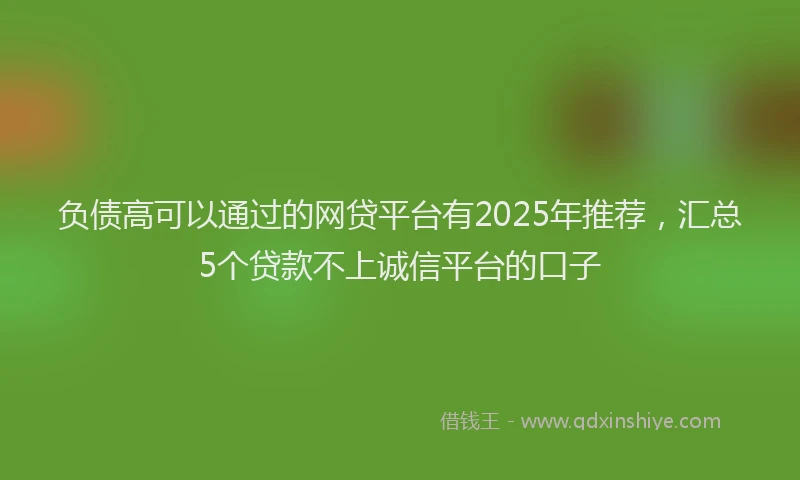 负债高可以通过的网贷平台有2025年推荐，汇总5个贷款不上诚信平台的口子