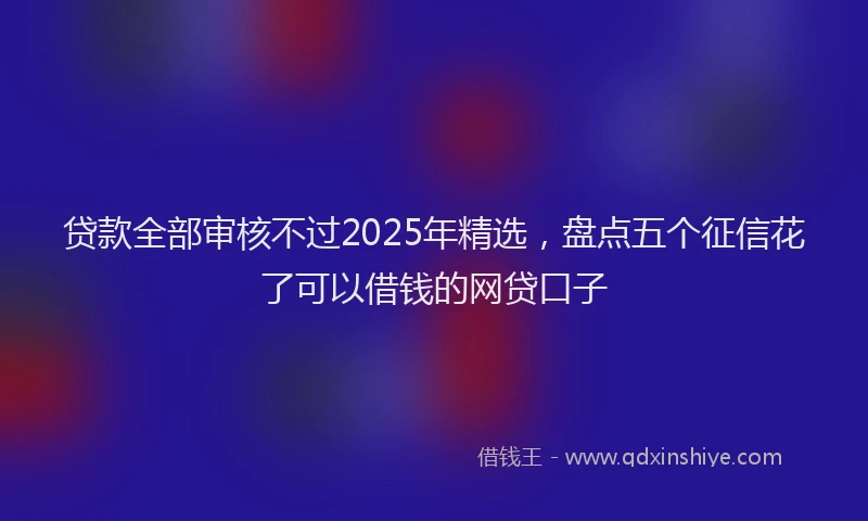 贷款全部审核不过2025年精选，盘点五个征信花了可以借钱的网贷口子