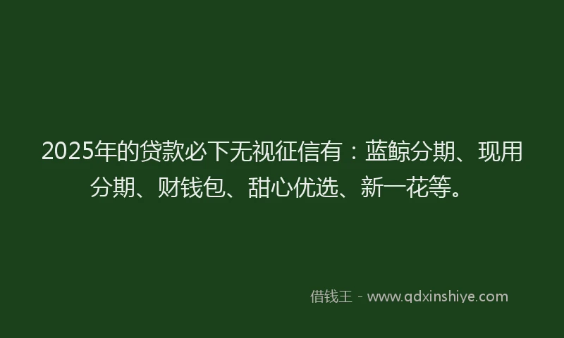 2025年的贷款必下无视征信有：蓝鲸分期、现用分期、财钱包、甜心优选、新一花等。