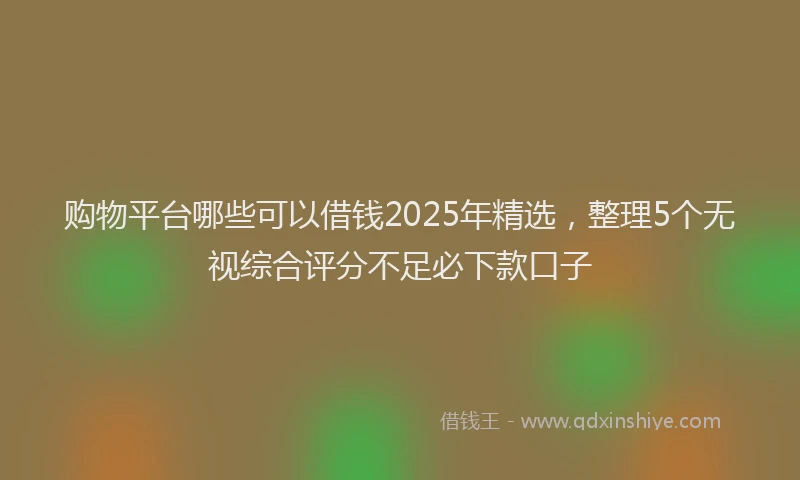购物平台哪些可以借钱2025年精选，整理5个无视综合评分不足必下款口子
