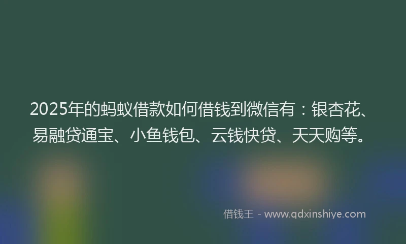 2025年的蚂蚁借款如何借钱到微信有：银杏花、易融贷通宝、小鱼钱包、云钱快贷、天天购等。