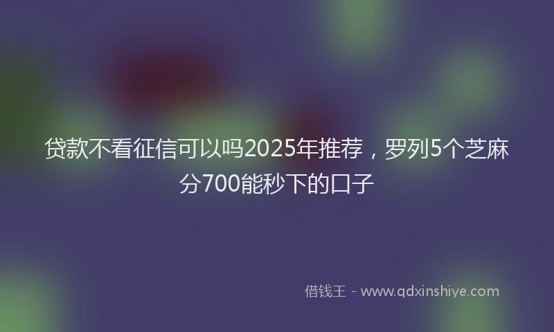 贷款不看征信可以吗2025年推荐，罗列5个芝麻分700能秒下的口子
