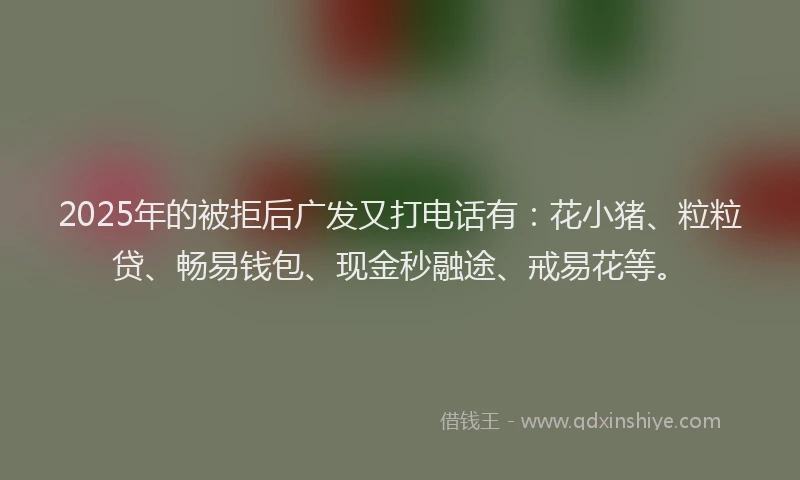 2025年的被拒后广发又打电话有：花小猪、粒粒贷、畅易钱包、现金秒融途、戒易花等。