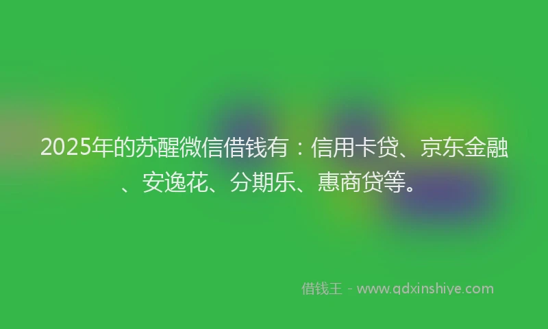 2025年的苏醒微信借钱有：信用卡贷、京东金融、安逸花、分期乐、惠商贷等。