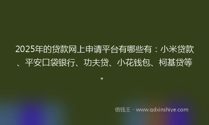 2025年的贷款网上申请平台有哪些有：小米贷款、平安口袋银行、功夫贷、小花钱包、柯基贷等。