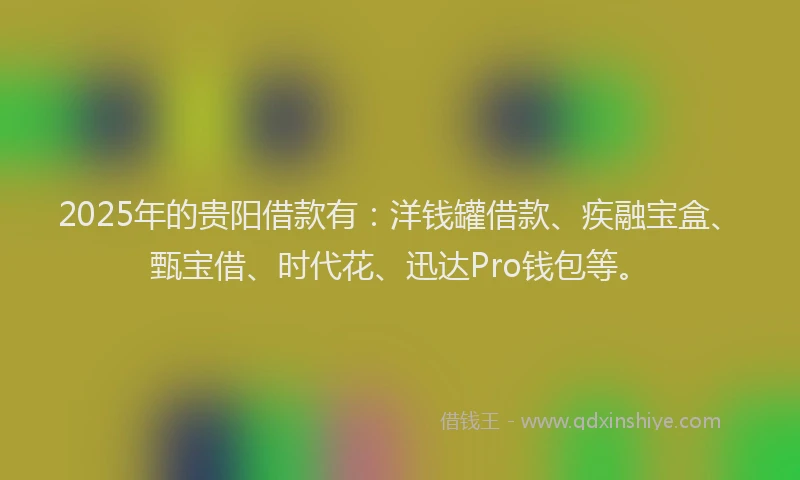 2025年的贵阳借款有：洋钱罐借款、疾融宝盒、甄宝借、时代花、迅达Pro钱包等。