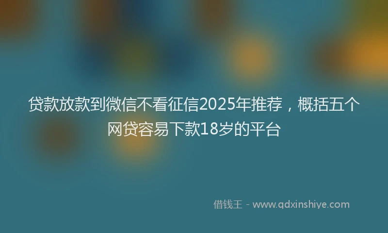 贷款放款到微信不看征信2025年推荐，概括五个网贷容易下款18岁的平台