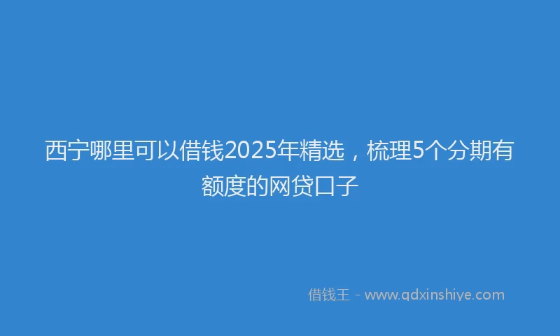 西宁哪里可以借钱2025年精选，梳理5个分期有额度的网贷口子