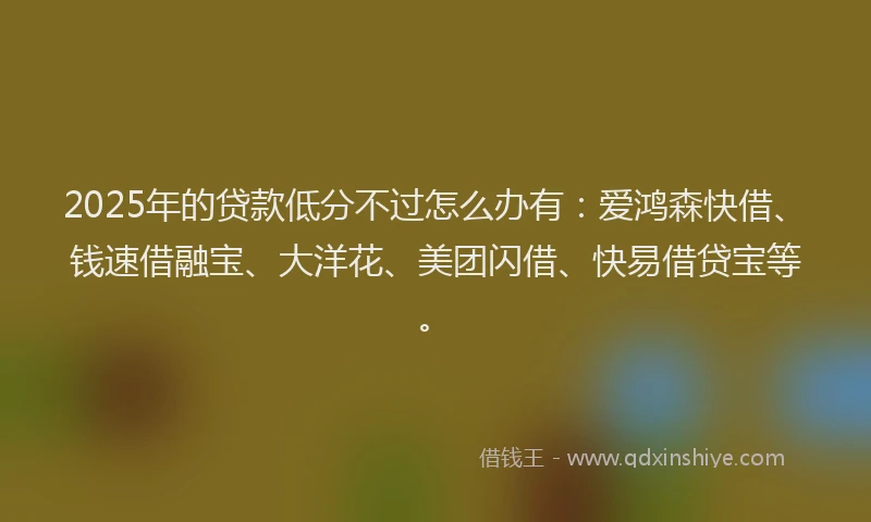 2025年的贷款低分不过怎么办有：爱鸿森快借、钱速借融宝、大洋花、美团闪借、快易借贷宝等。