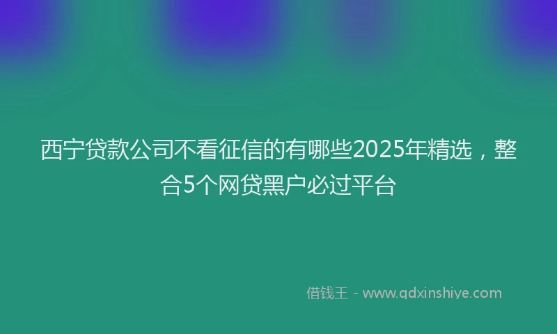 西宁贷款公司不看征信的有哪些2025年精选，整合5个网贷黑户必过平台