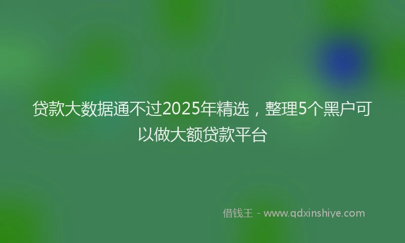 贷款大数据通不过2025年精选，整理5个黑户可以做大额贷款平台