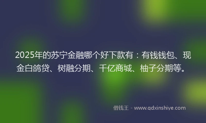 2025年的苏宁金融哪个好下款有：有钱钱包、现金白鸽贷、树融分期、千亿商城、柚子分期等。