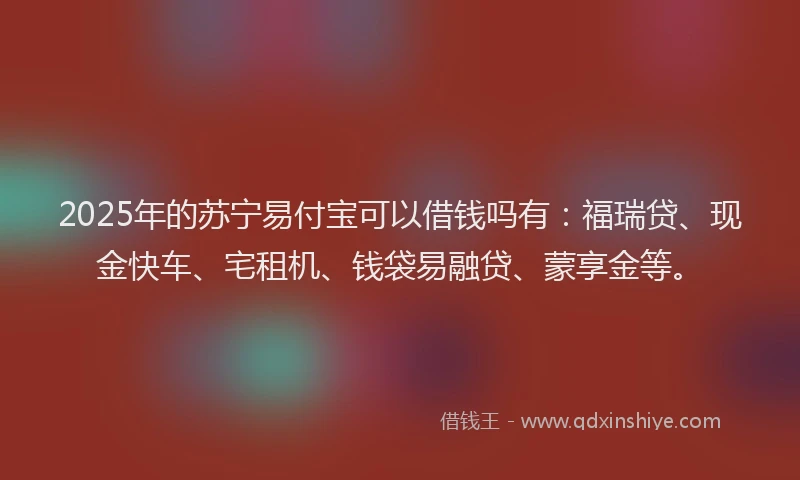 2025年的苏宁易付宝可以借钱吗有:福瑞贷、现金快车、宅租机、钱袋易融贷、蒙享金等。