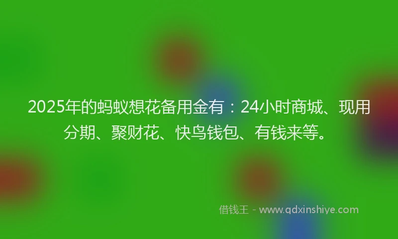 2025年的蚂蚁想花备用金有：24小时商城、现用分期、聚财花、快鸟钱包、有钱来等。