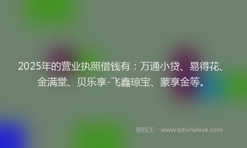 2025年的营业执照借钱有：万通小贷、易得花、金满堂、贝乐享-飞鑫琼宝、蒙享金等。