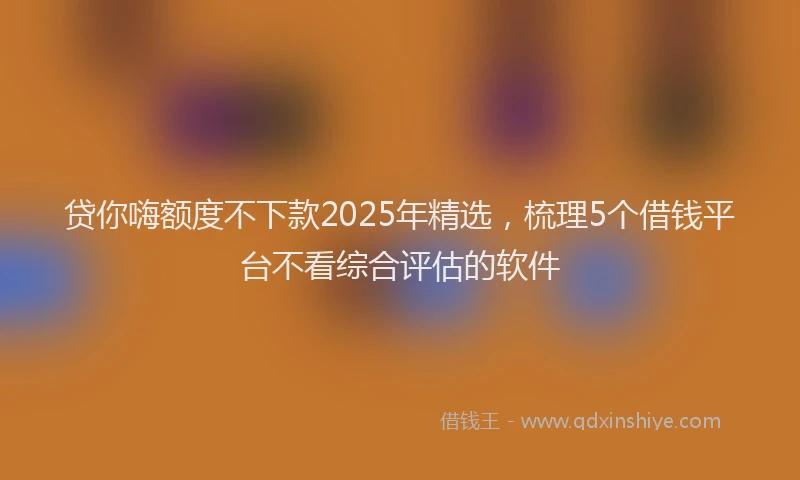 贷你嗨额度不下款2025年精选，梳理5个借钱平台不看综合评估的软件