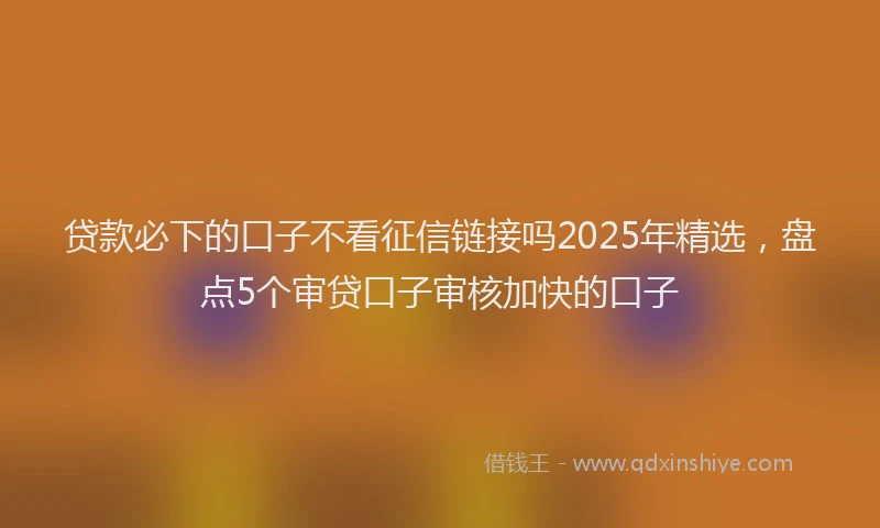 贷款必下的口子不看征信链接吗2025年精选，盘点5个审贷口子审核加快的口子