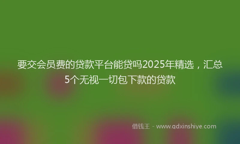 要交会员费的贷款平台能贷吗2025年精选，汇总5个无视一切包下款的贷款