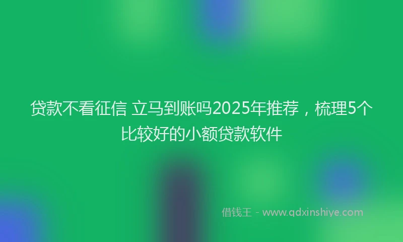 贷款不看征信 立马到账吗2025年推荐，梳理5个比较好的小额贷款软件