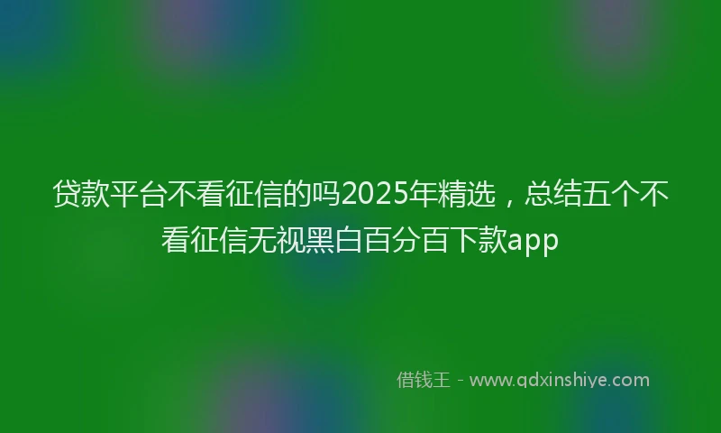 贷款平台不看征信的吗2025年精选，总结五个不看征信无视黑白百分百下款app