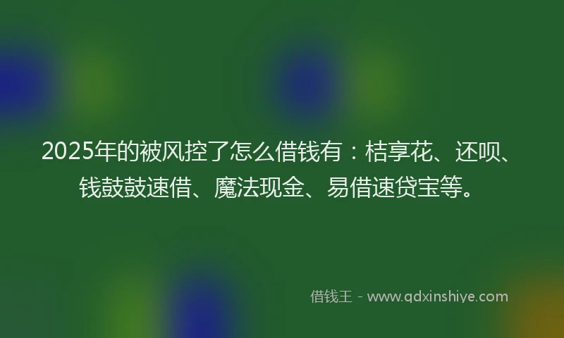 2025年的被风控了怎么借钱有：桔享花、还呗、钱鼓鼓速借、魔法现金、易借速贷宝等。