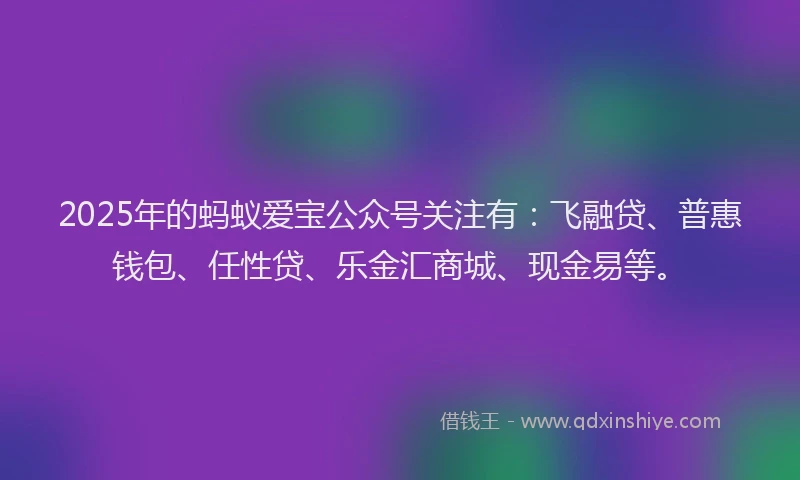 2025年的蚂蚁爱宝公众号关注有：飞融贷、普惠钱包、任性贷、乐金汇商城、现金易等。
