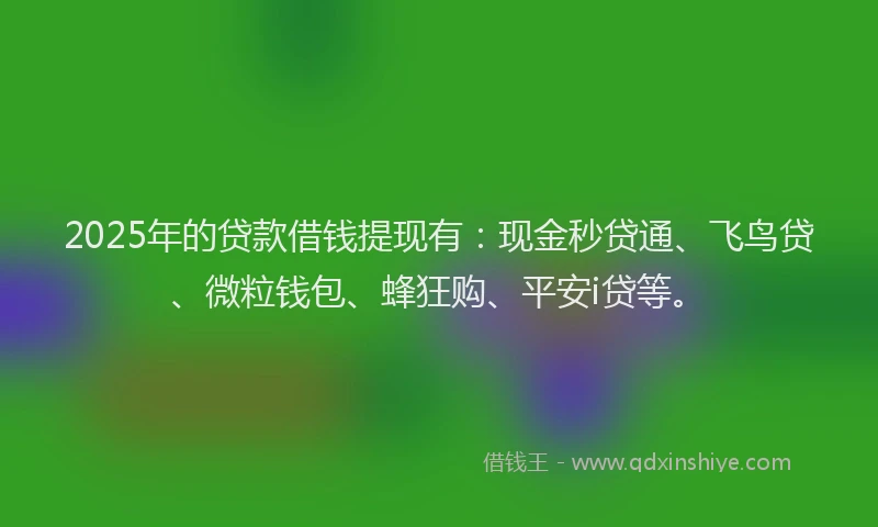 2025年的贷款借钱提现有：现金秒贷通、飞鸟贷、微粒钱包、蜂狂购、平安i贷等。