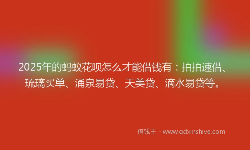 2025年的蚂蚁花呗怎么才能借钱有：拍拍速借、琉璃买单、涌泉易贷、天美贷、滴水易贷等。