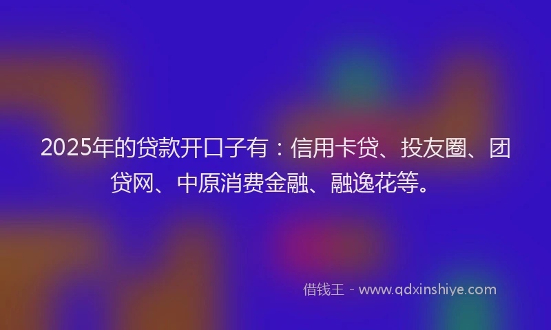 2025年的贷款开口子有：信用卡贷、投友圈、团贷网、中原消费金融、融逸花等。
