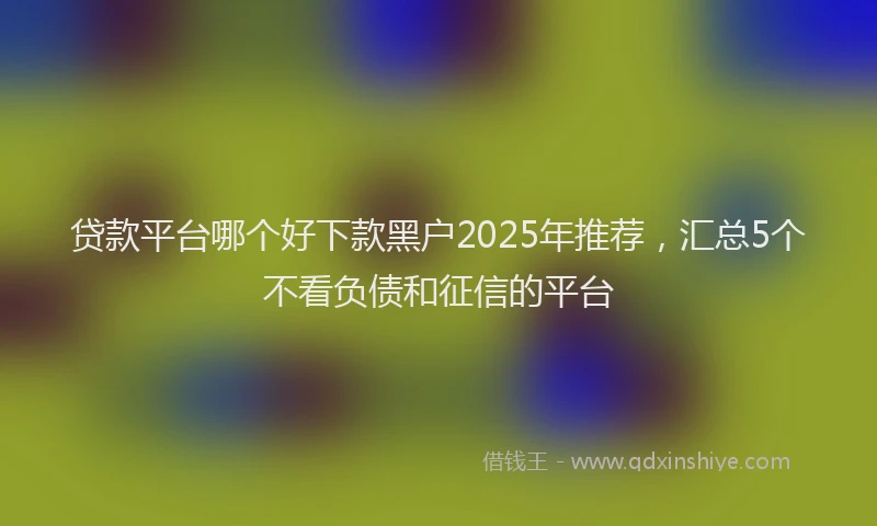 贷款平台哪个好下款黑户2025年推荐，汇总5个不看负债和征信的平台