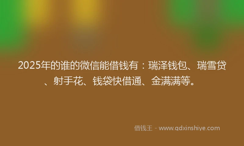 2025年的谁的微信能借钱有：瑞泽钱包、瑞雪贷、射手花、钱袋快借通、金满满等。