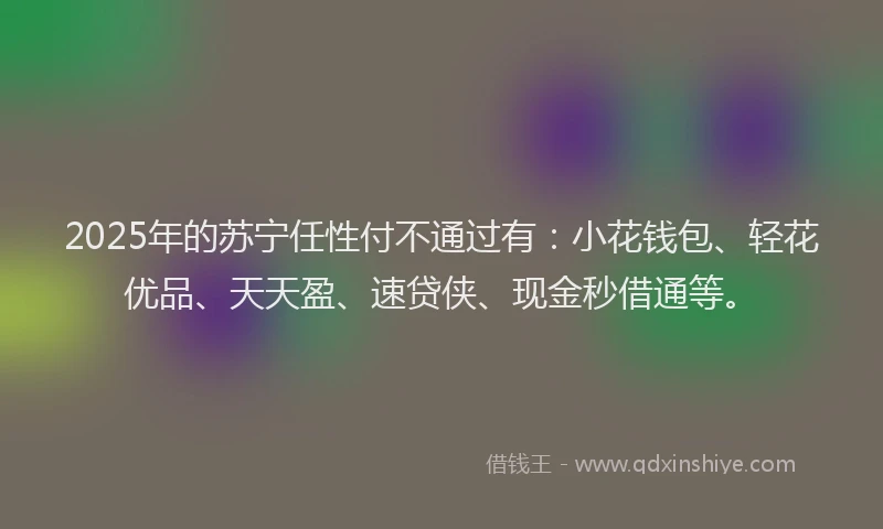 2025年的苏宁任性付不通过有：小花钱包、轻花优品、天天盈、速贷侠、现金秒借通等。